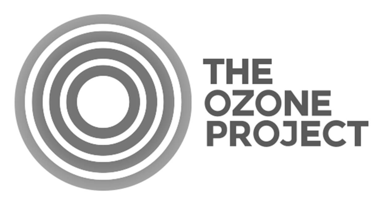Unified solutions to complex problems for The Ozone Project